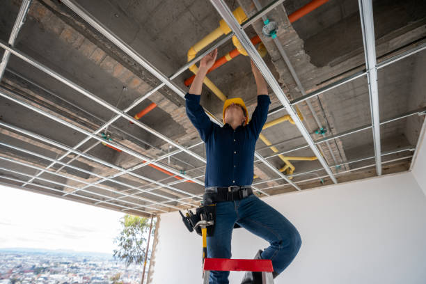 Best Plumbing Services Near Me  in Fairview Heights, IL
