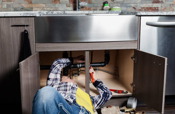 Best Clogged Drain Plumber  in Fairview Heights, IL